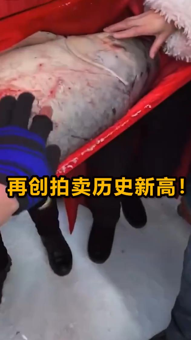 2999999元!查干湖天价头鱼曝光