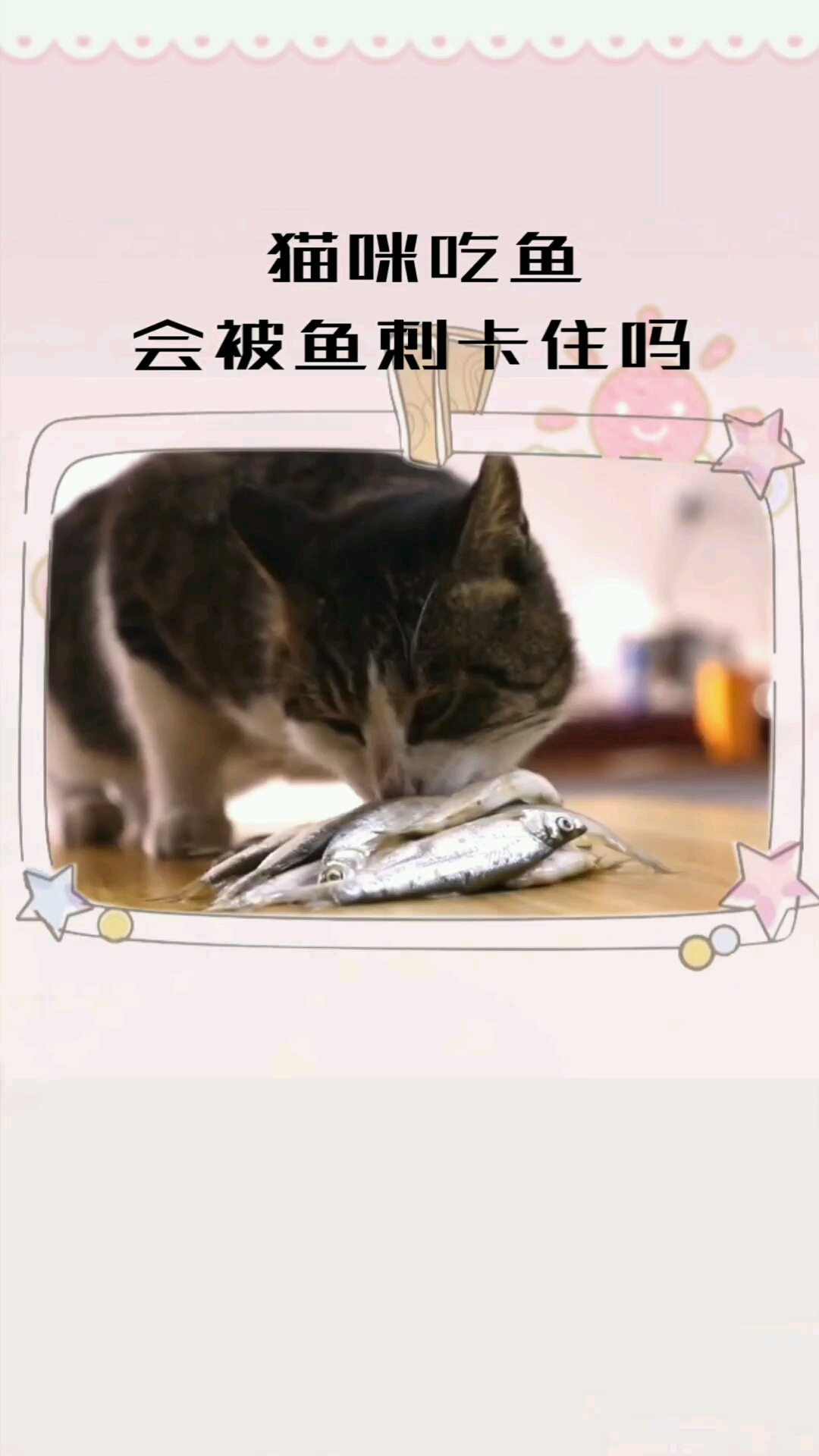 猫咪吃鱼也会被鱼刺卡住吗你家猫咪有过吗#包子脸鲜猫饭