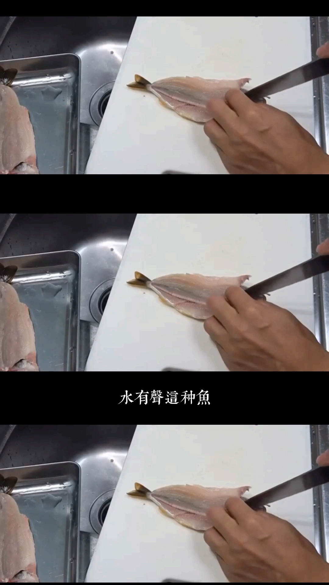 有认识的钓友现身,探讨一下这个鱼的名称