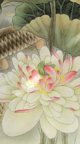 #学习工笔画!#工笔画荷花鲤鱼