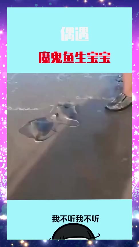 #搞笑段子#偶遇“美人鱼”生孩子