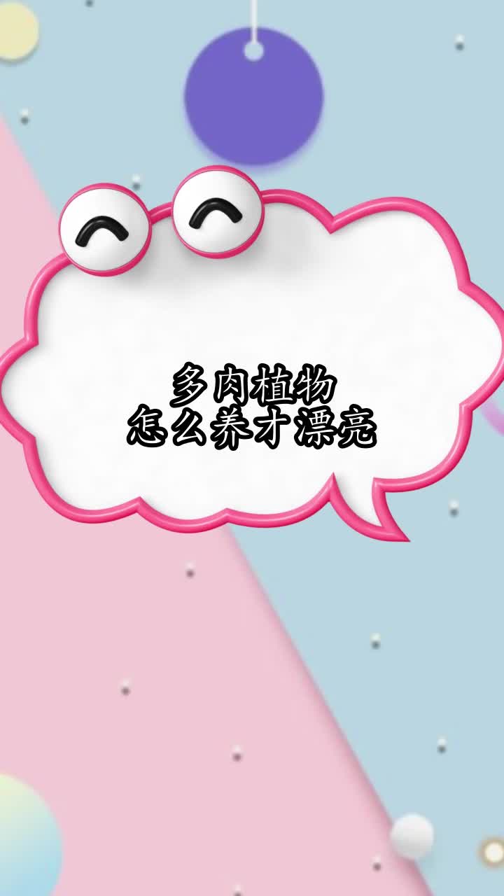 多肉植物怎么养才漂亮,你明白了吗