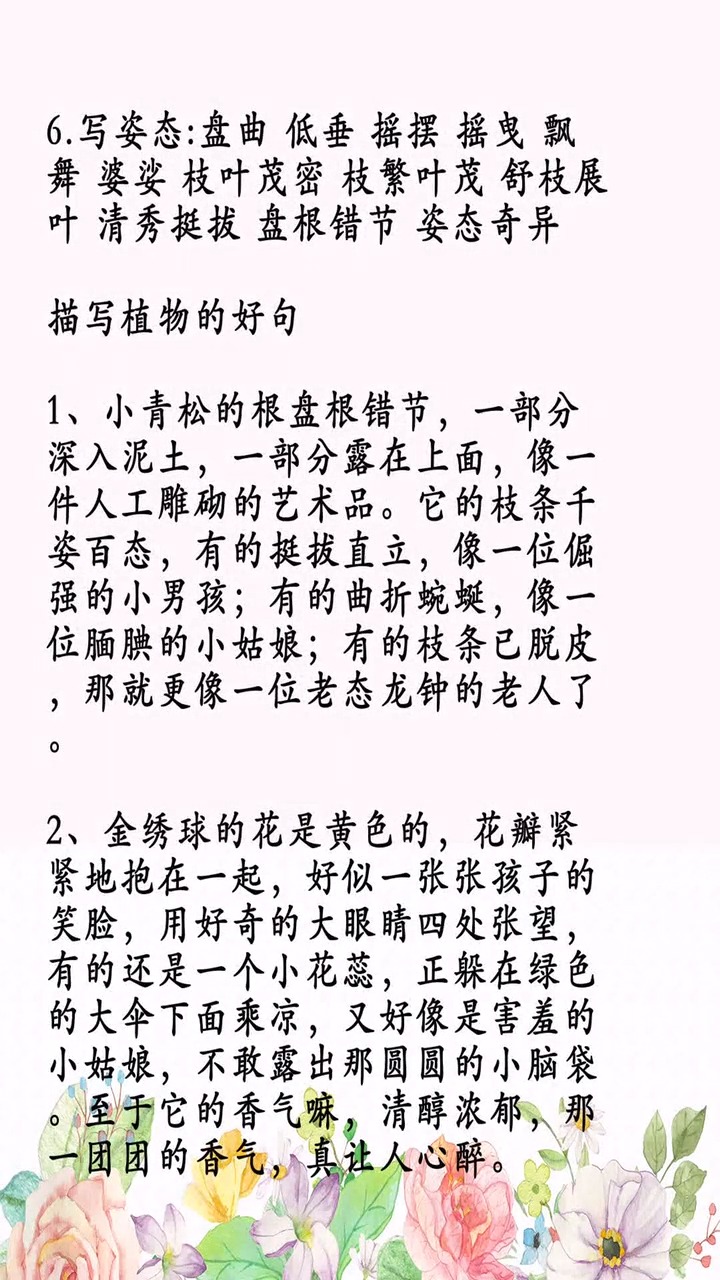 小学语文作文素材积累,描写植物的好词、好句、好段!快收藏