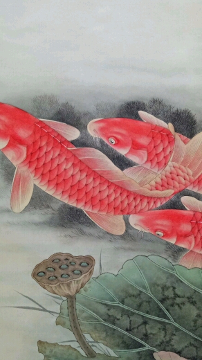 #学习工笔画!#工笔画荷花鲤鱼