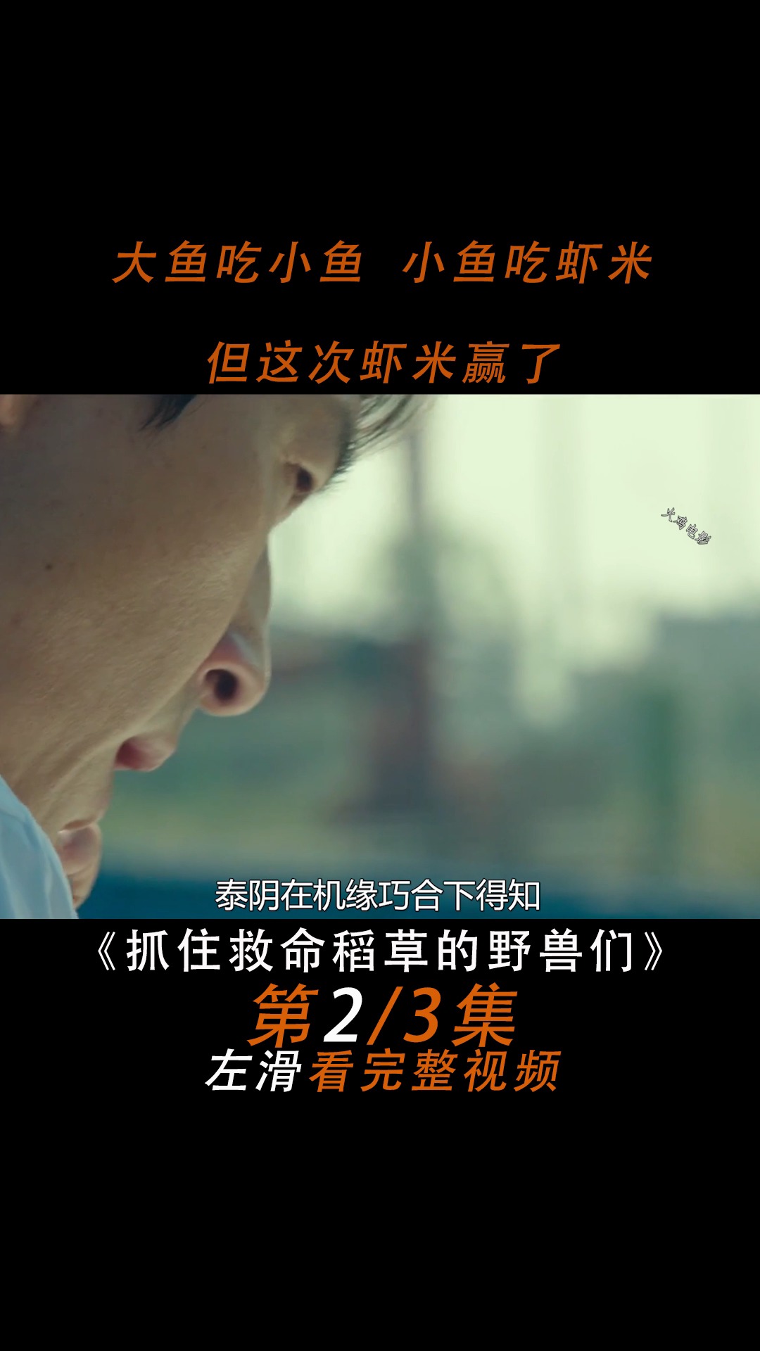 #好看电影#人性剧:抓住救命稻草的野兽们