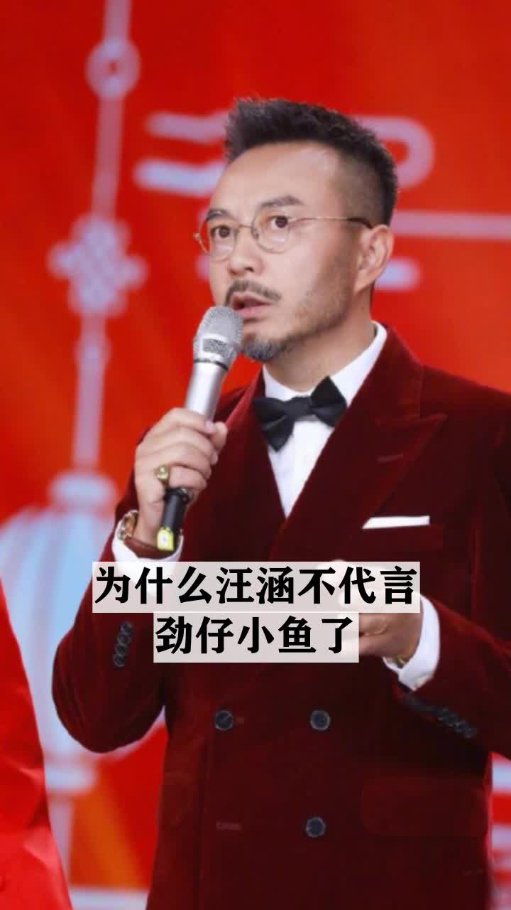 为什么汪涵不代言劲仔小鱼了