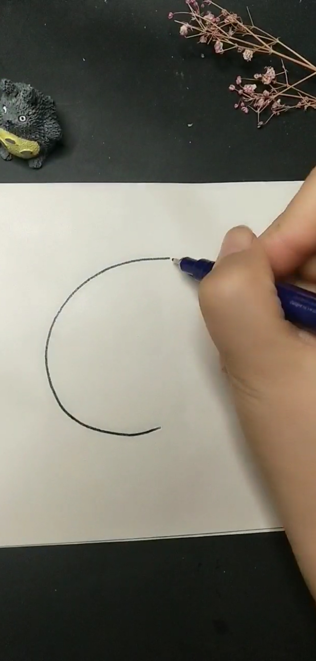 教你用C画鱼尾巴,超可爱