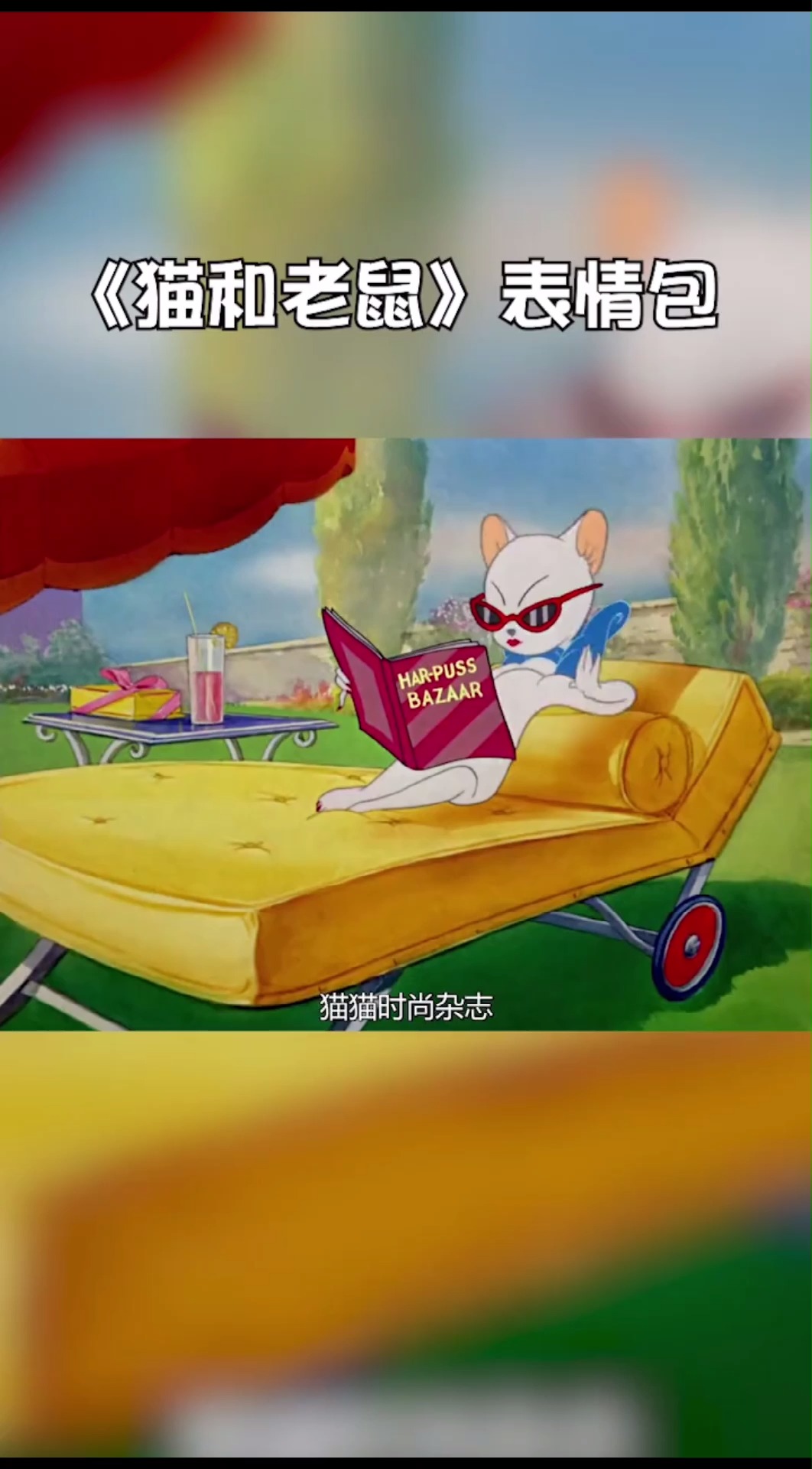 猫和老鼠,汤姆带着表情包走来了!