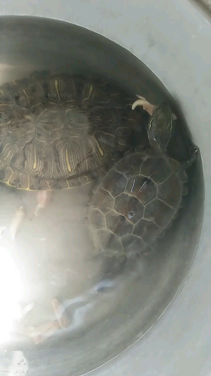 分享视频