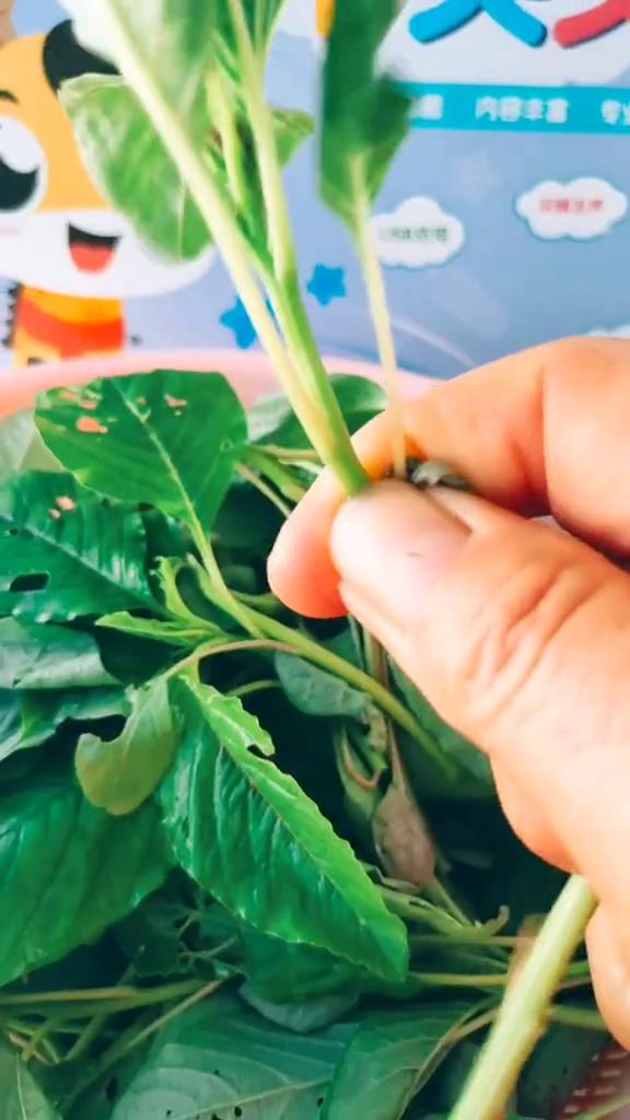 小米菜炒豆豉你吃过吗?#美食趣胃计划 #云南美食