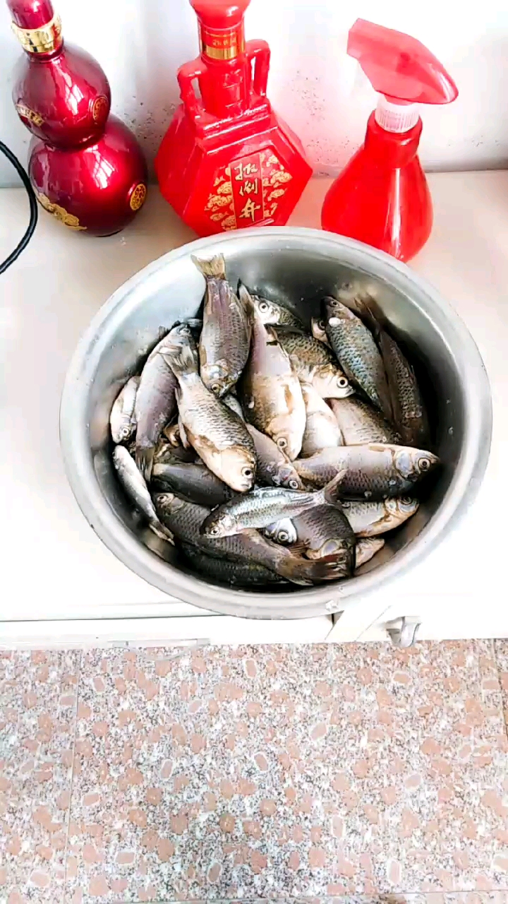 鲫鱼炖汤好新鲜啊!