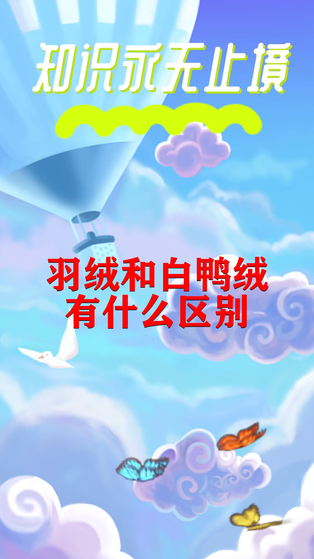 羽绒和白鸭绒有什么区别