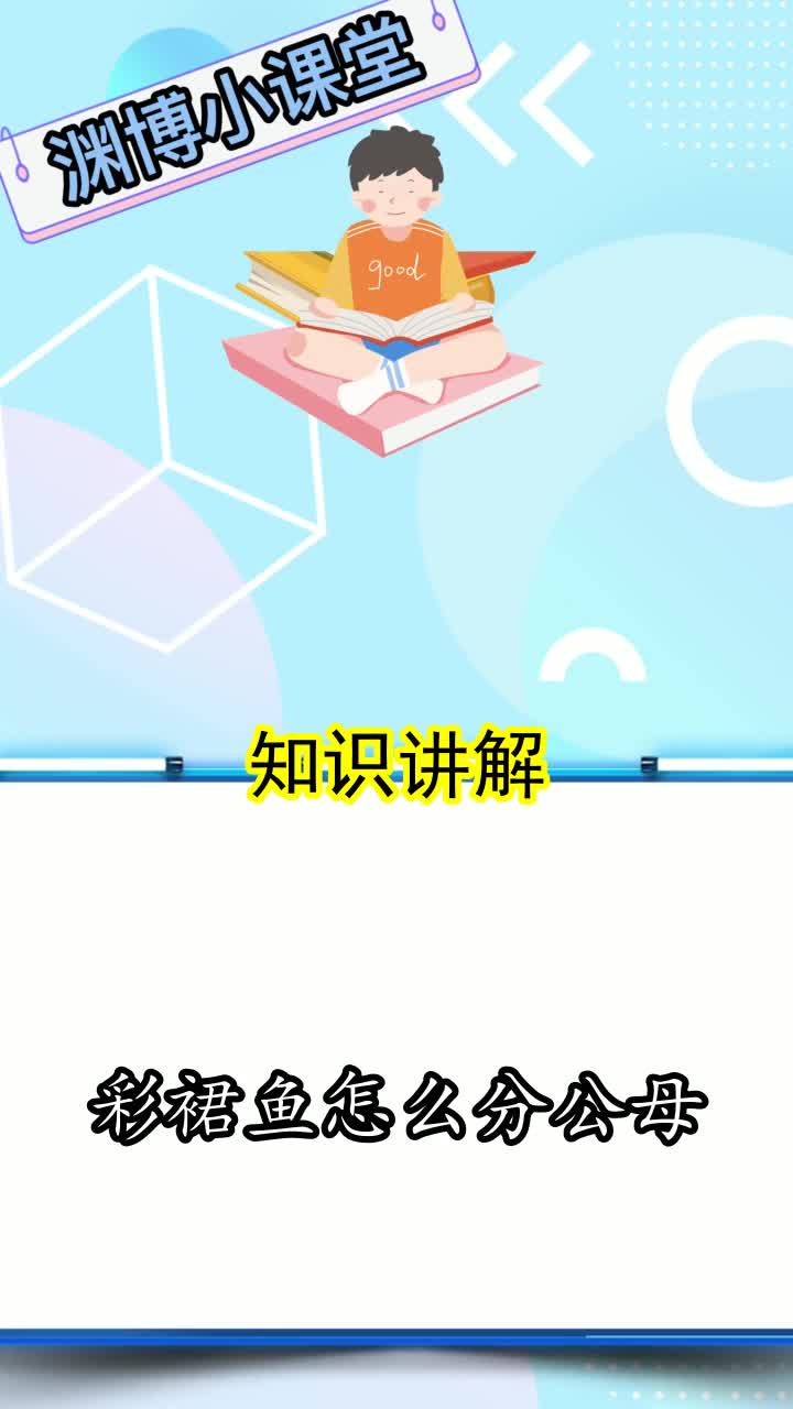 彩裙鱼怎么分公母,你清楚了吗