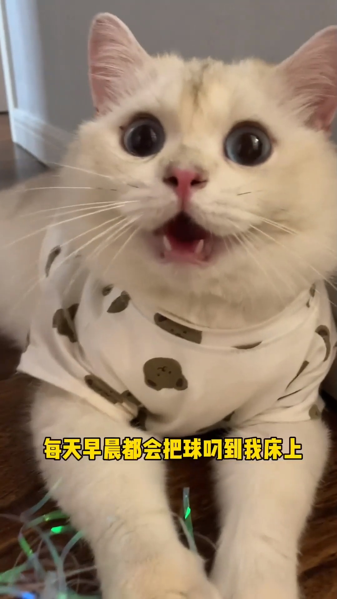 拖鞋:这次是鸭子先动的手