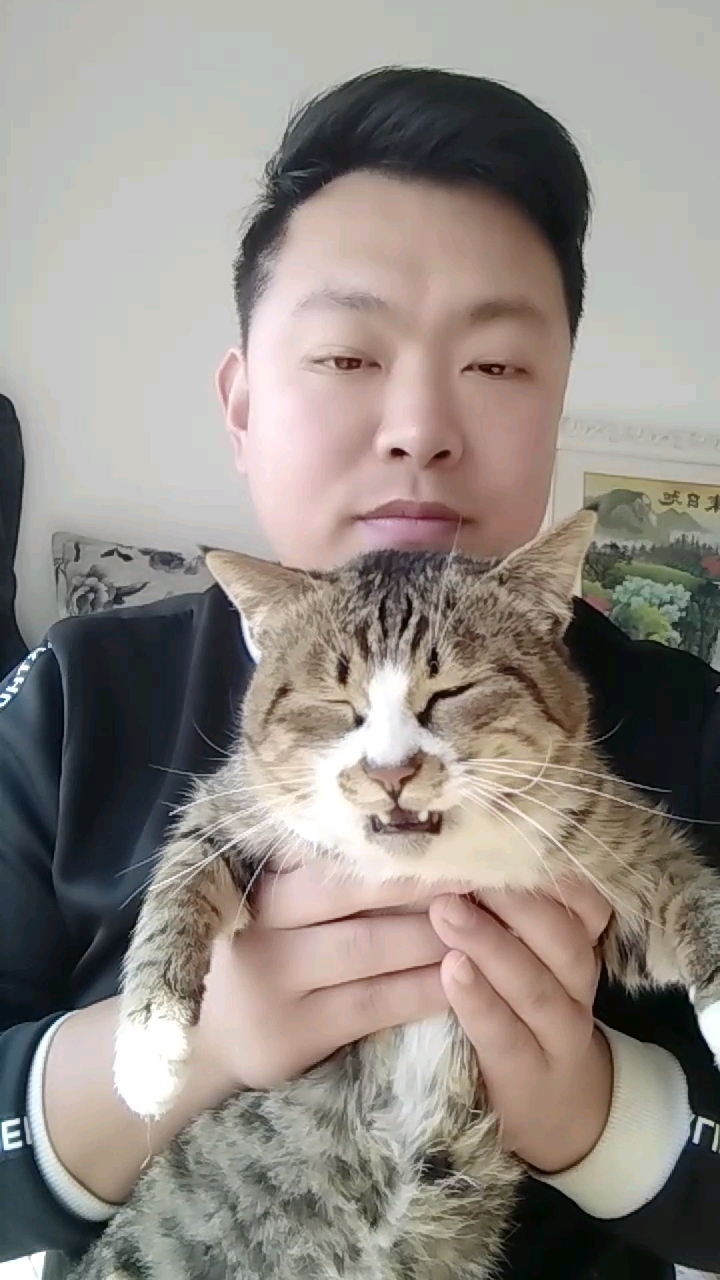 #我家萌宠成精了#会说话的汤姆猫