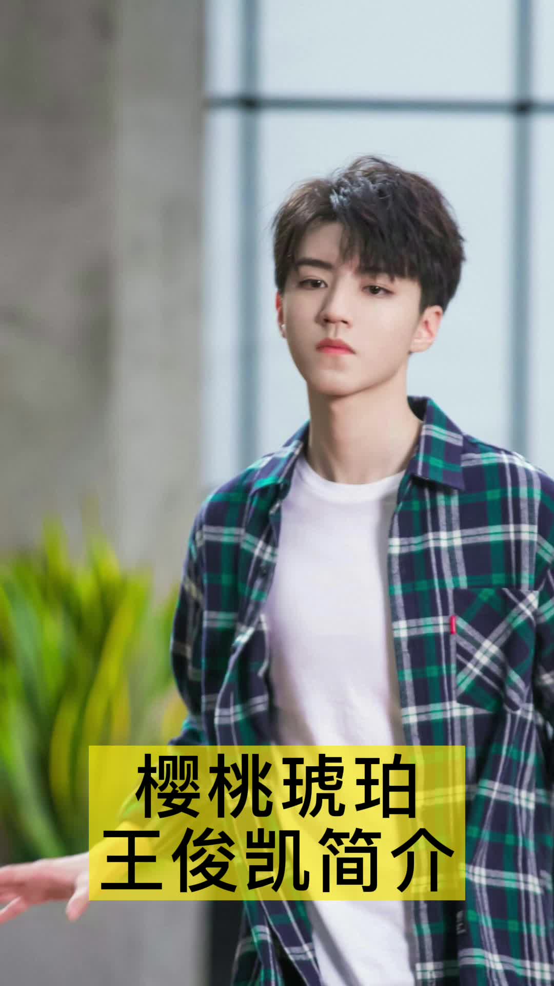 樱桃琥珀王俊凯简介,你明白了吗