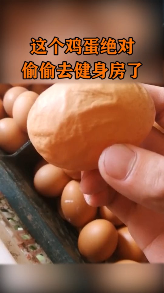 #奇闻趣事抢先看#去过健身房的鸡蛋,连经脉都这样清晰,真想看看里边长什么样!