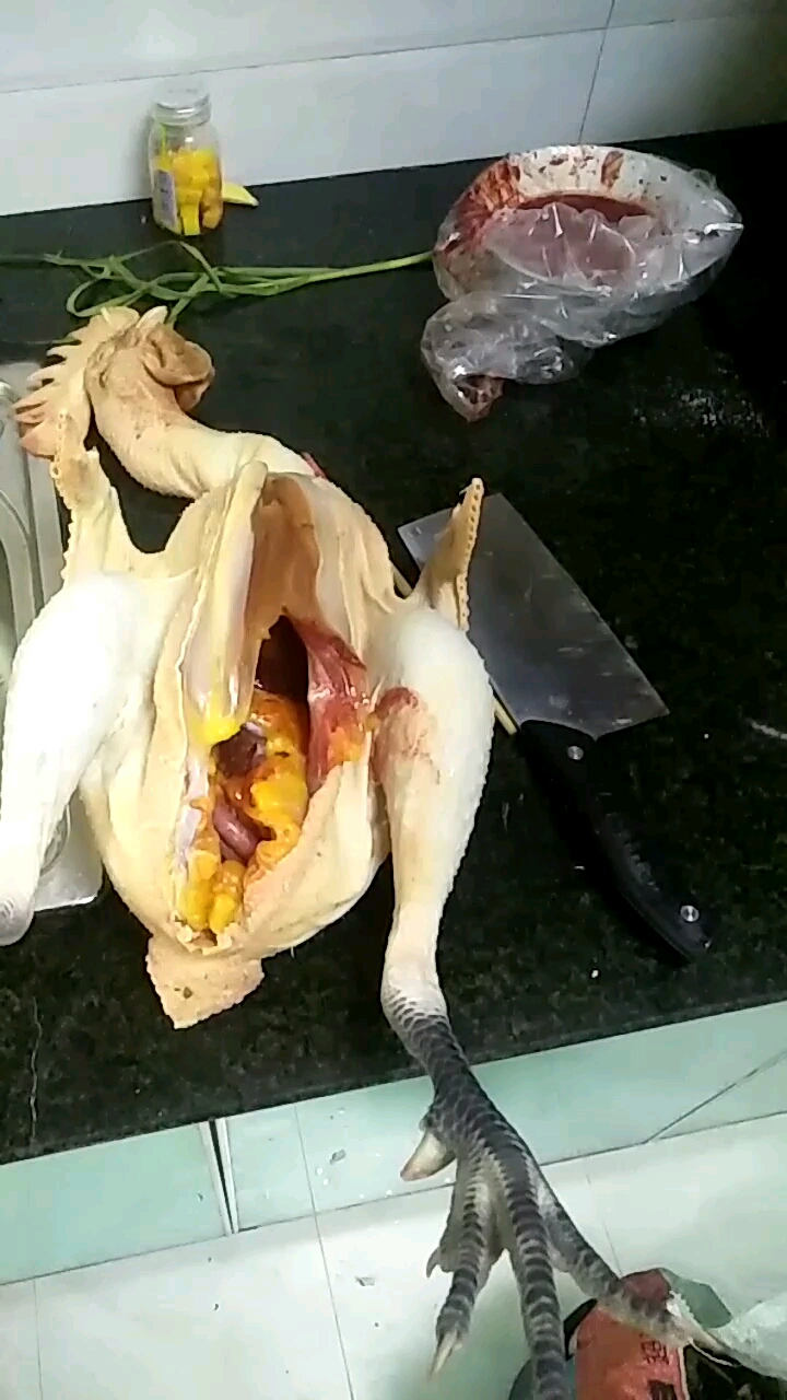 怎样让别土鸡和饲料,土鸡喂杂粮,所以鸡油是黄色的,饲料鸡油是白色