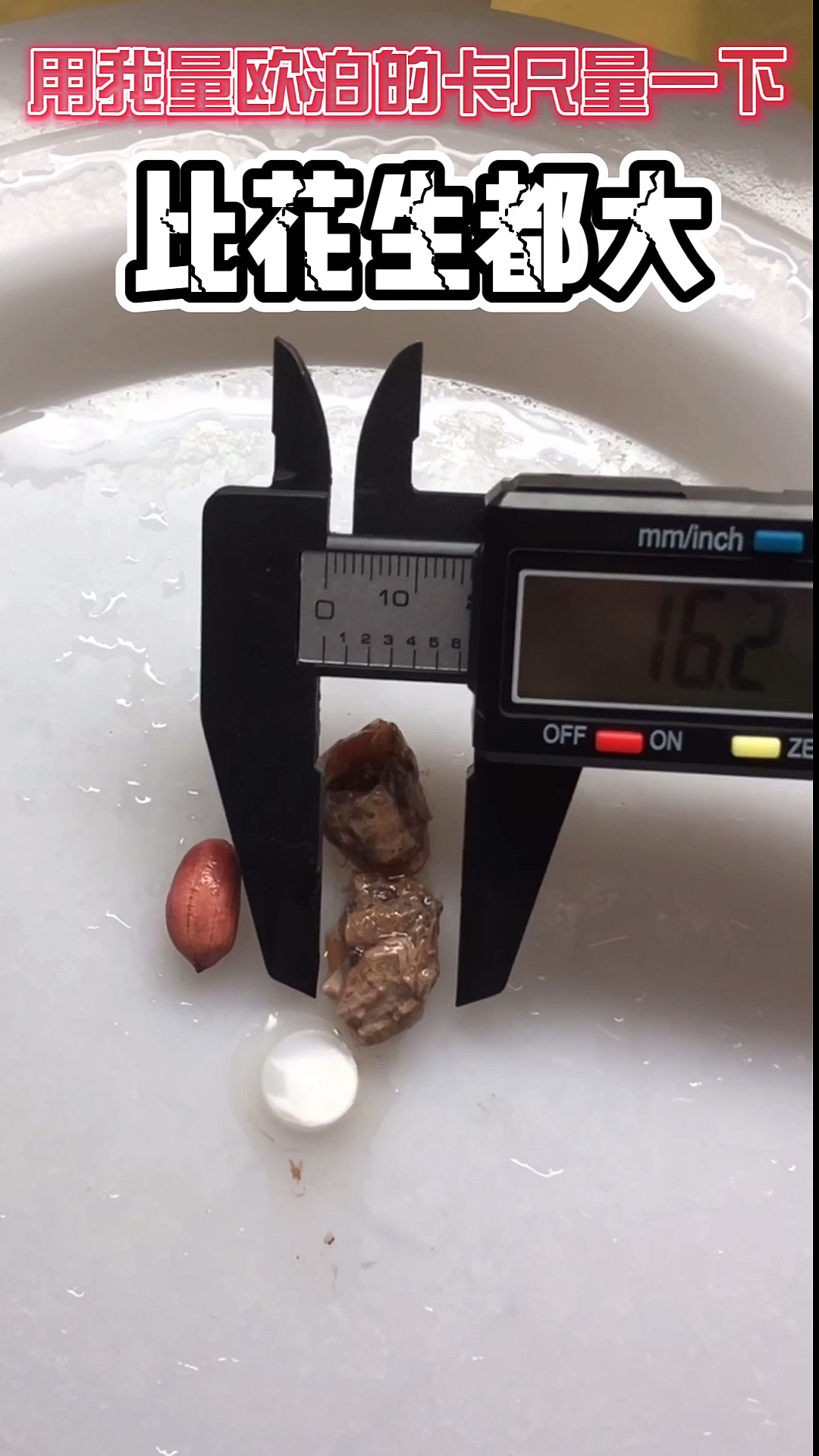 说实在的,这真的是我见过最粗的鱼屎