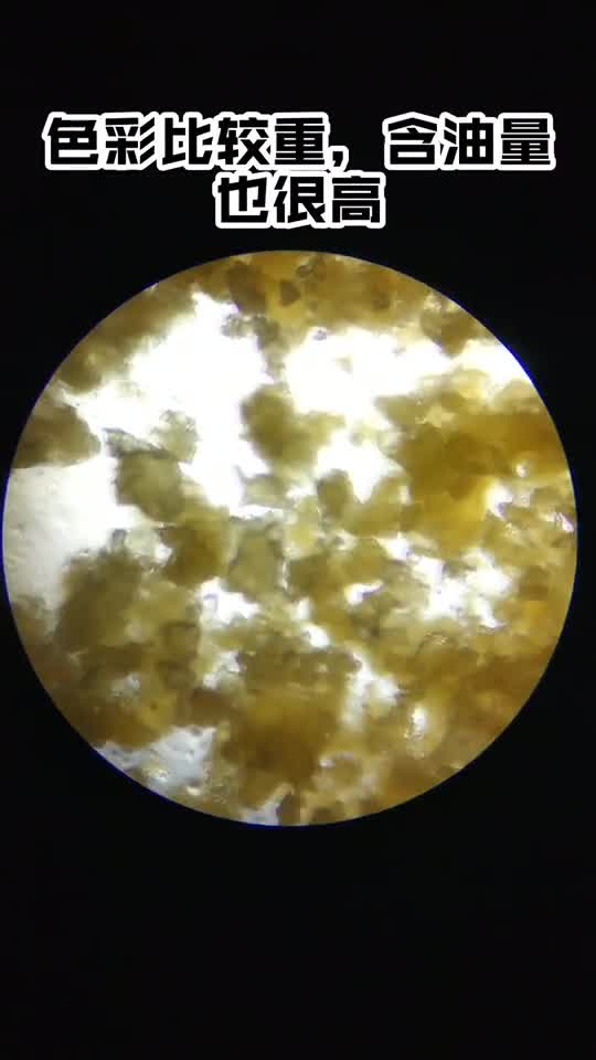 评测烤馍育儿美食食物热量显微镜