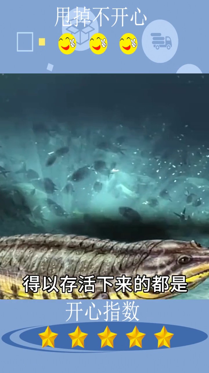 #娱乐#鳄鱼为什么能从恐龙时代存活至今