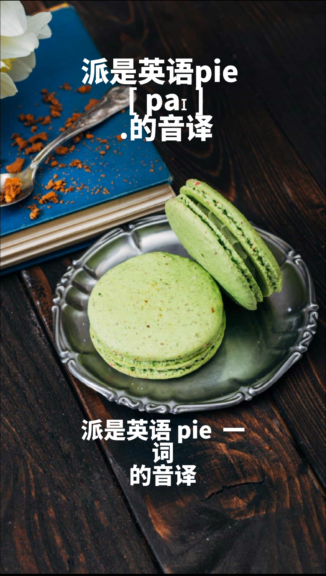 派是什么意思??