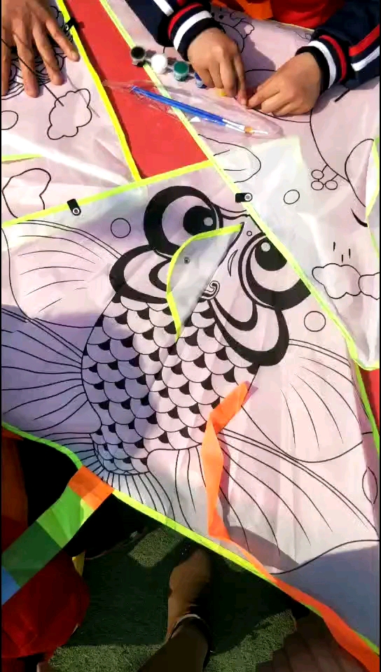漂亮的金鱼风筝