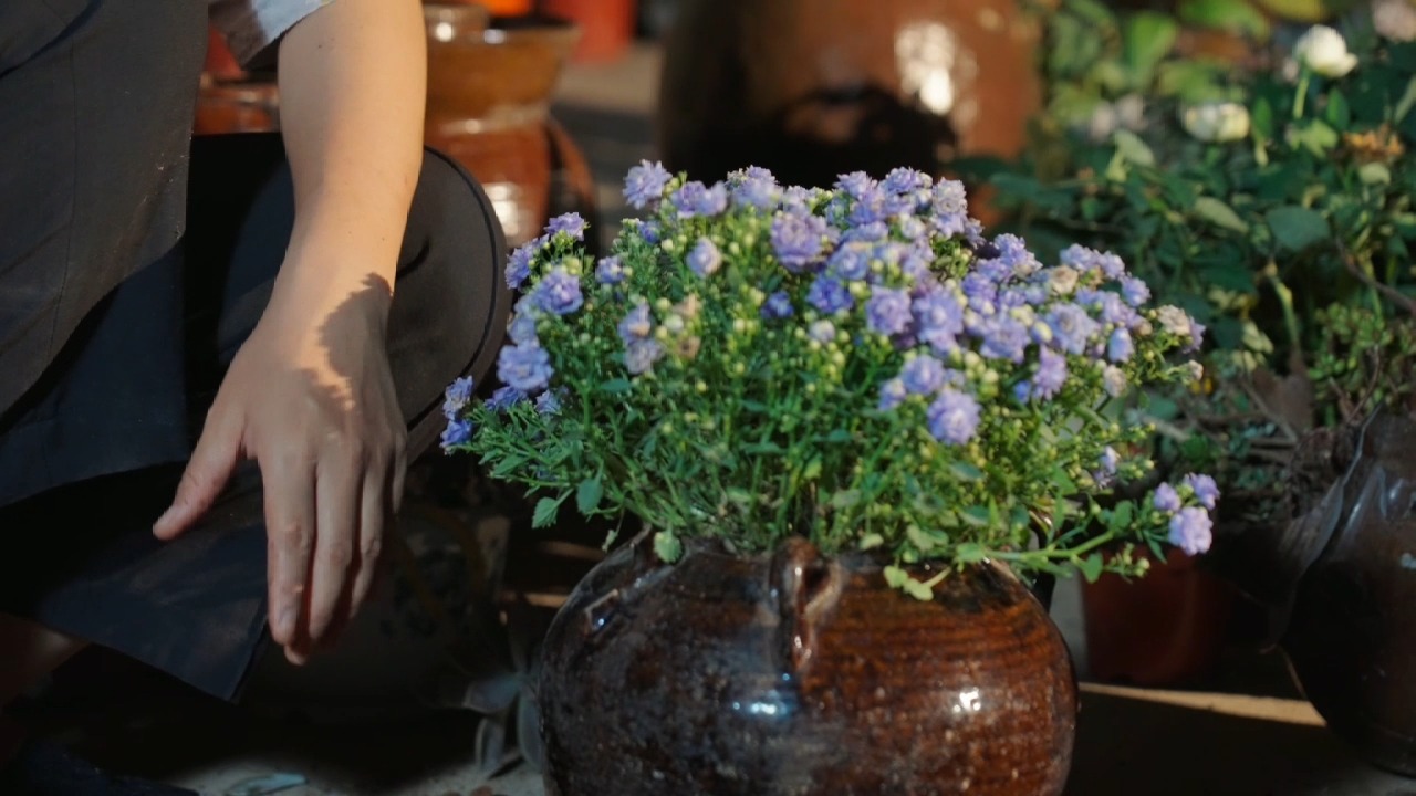 废弃坛子种花