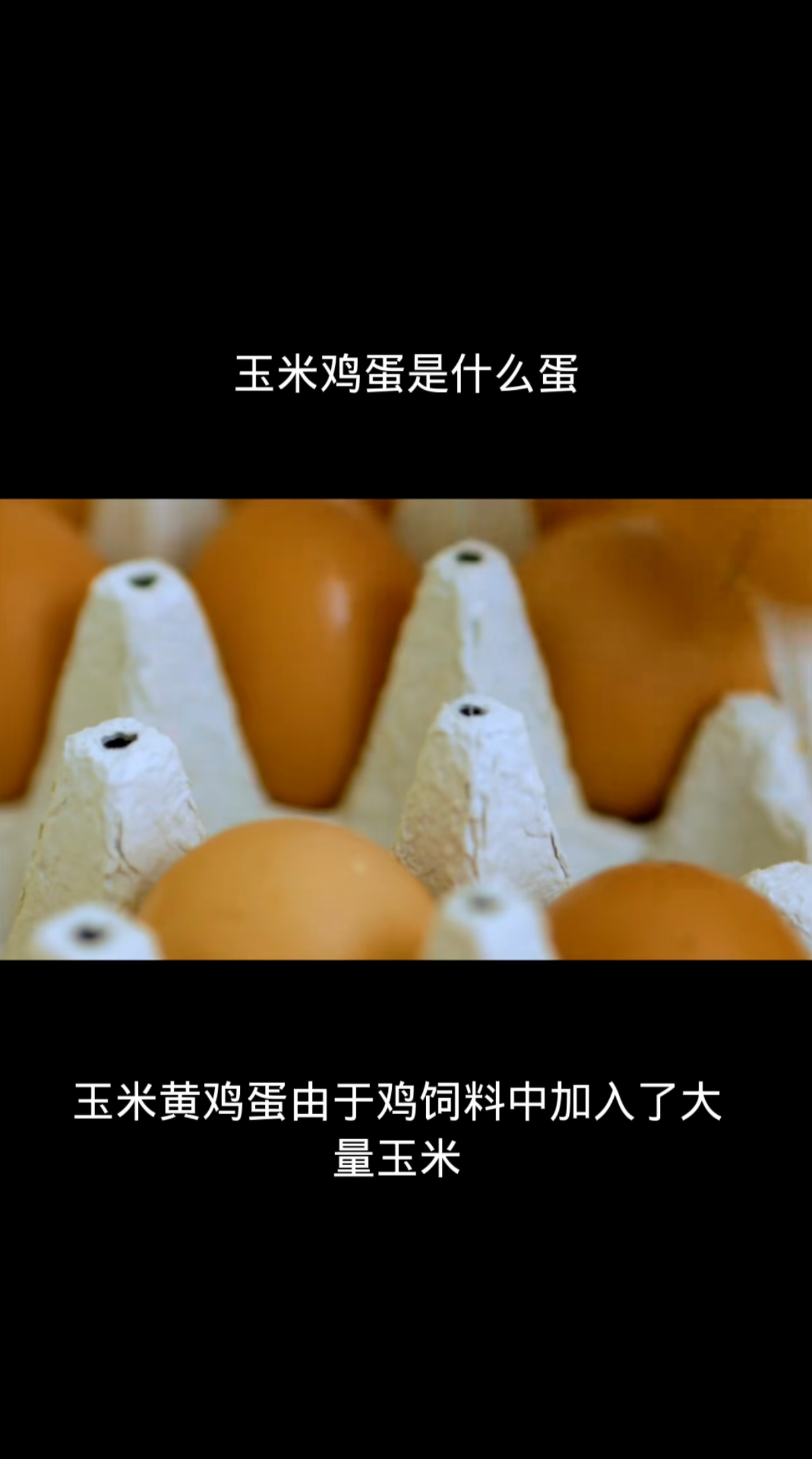 玉米鸡蛋是什么蛋