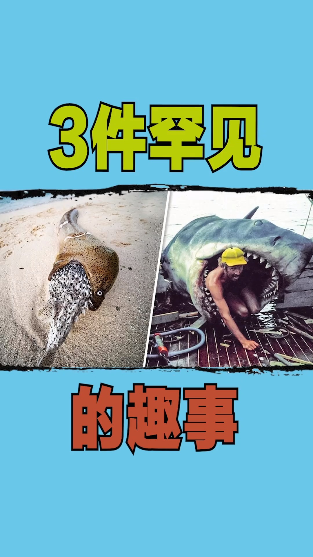 3件罕见的趣事