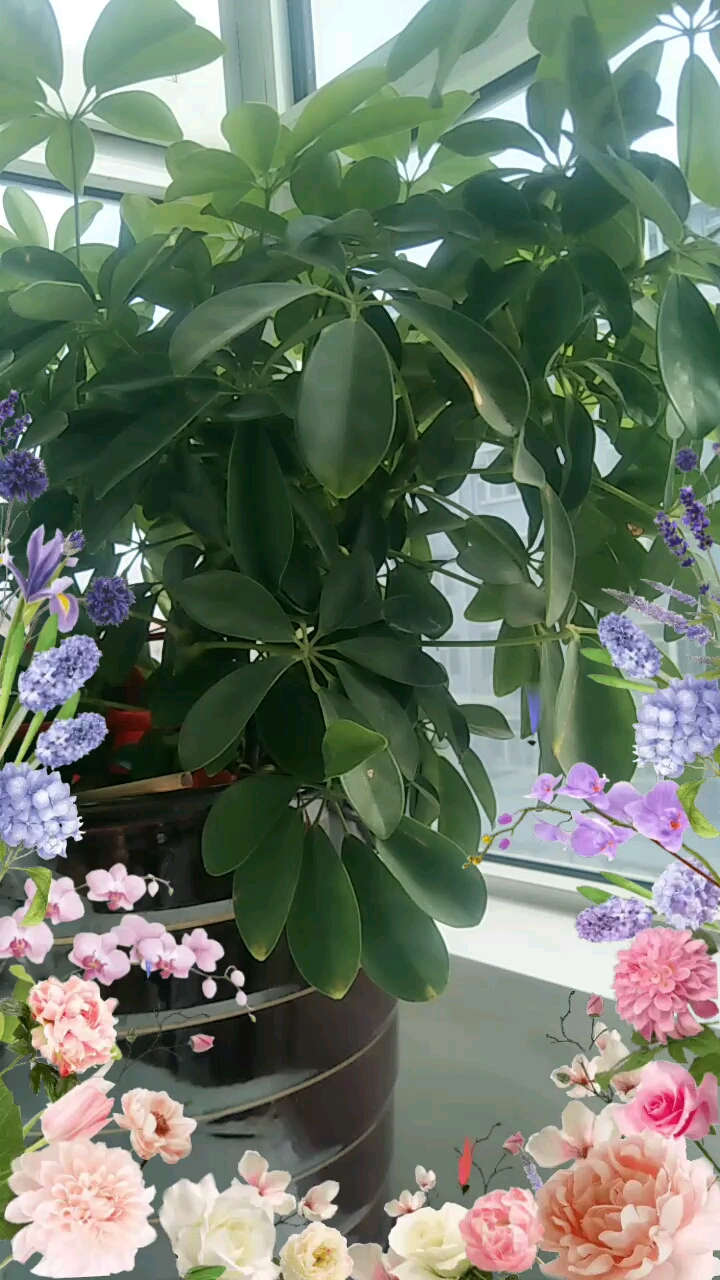 夫妻之间,只有有一方出轨就回不到过去了。即便他对你在好,心里的刺,也会时常疼