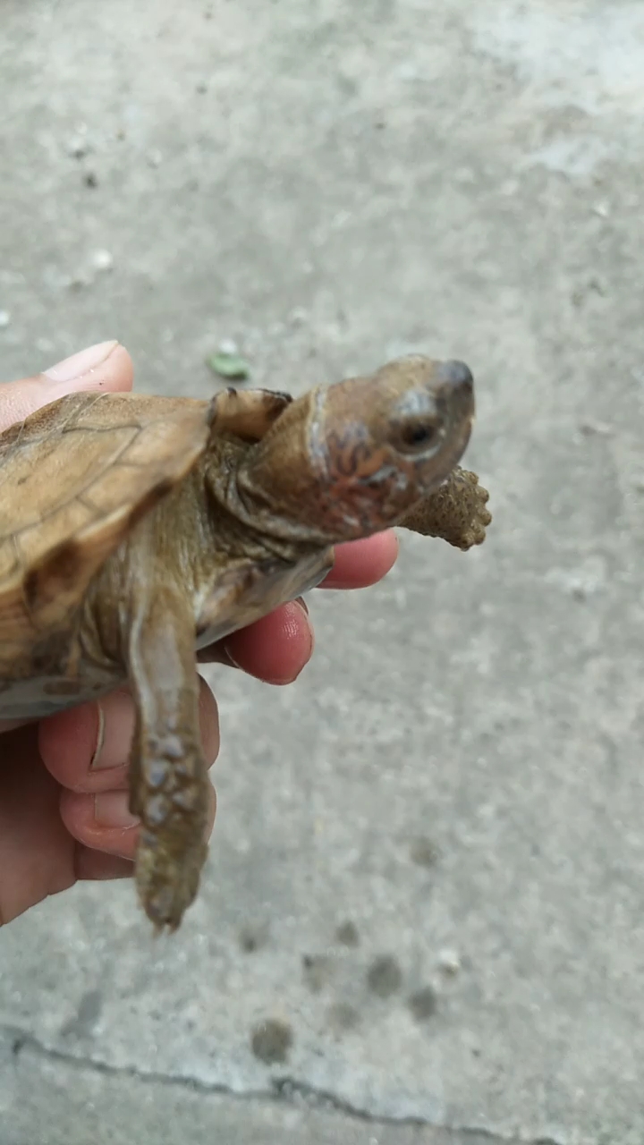 分享视频