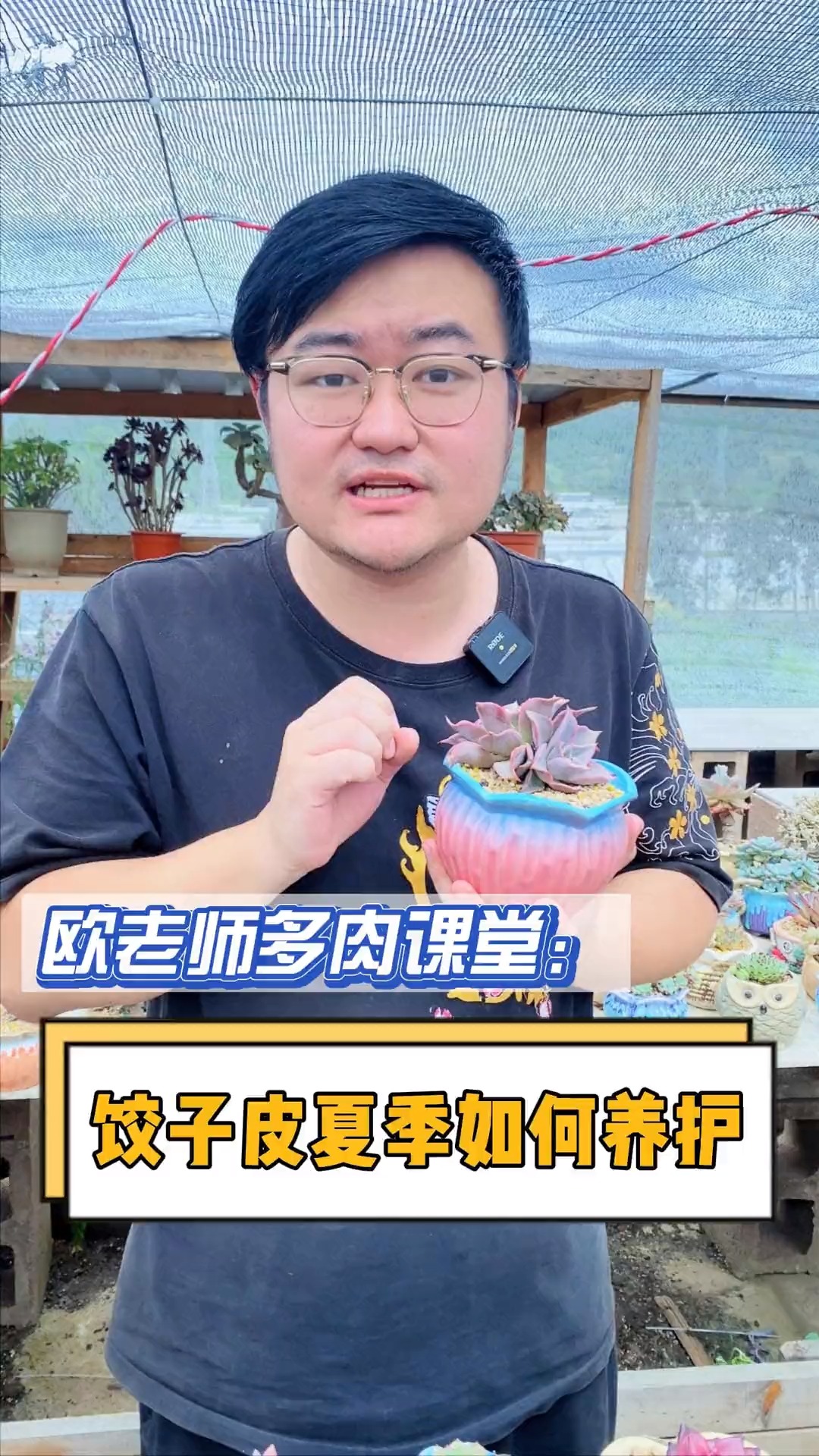 #有一种可爱叫多肉!#饺子皮到底要怎么养护呢?这个视频教会你,新手可以养来积攒经验哦#多肉