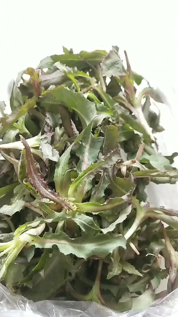 多吃点野菜挺好的!孕妇能吃吗?