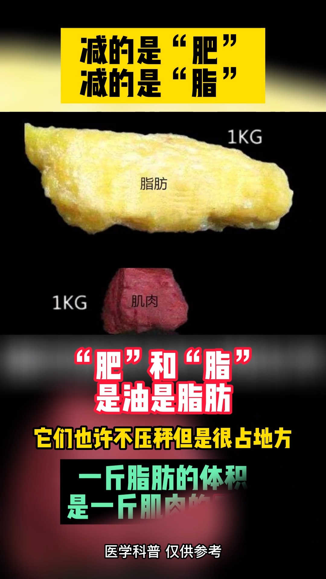 #再不减肥就晚了#脂肪体积是肌肉的3倍,减肥要减脂!