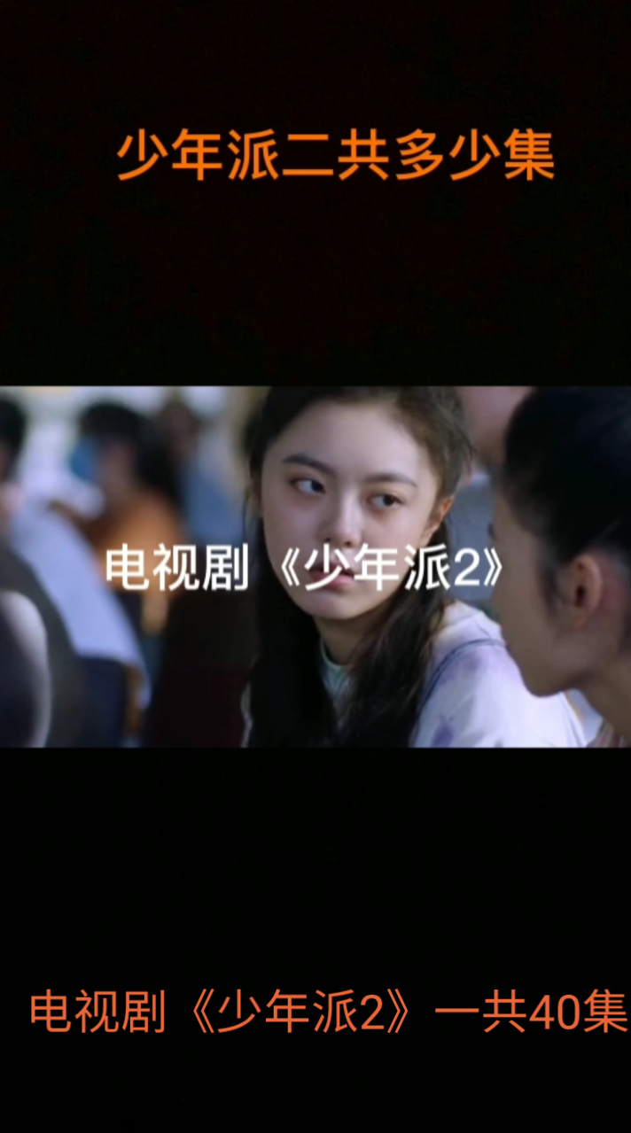 少年派二共多少集