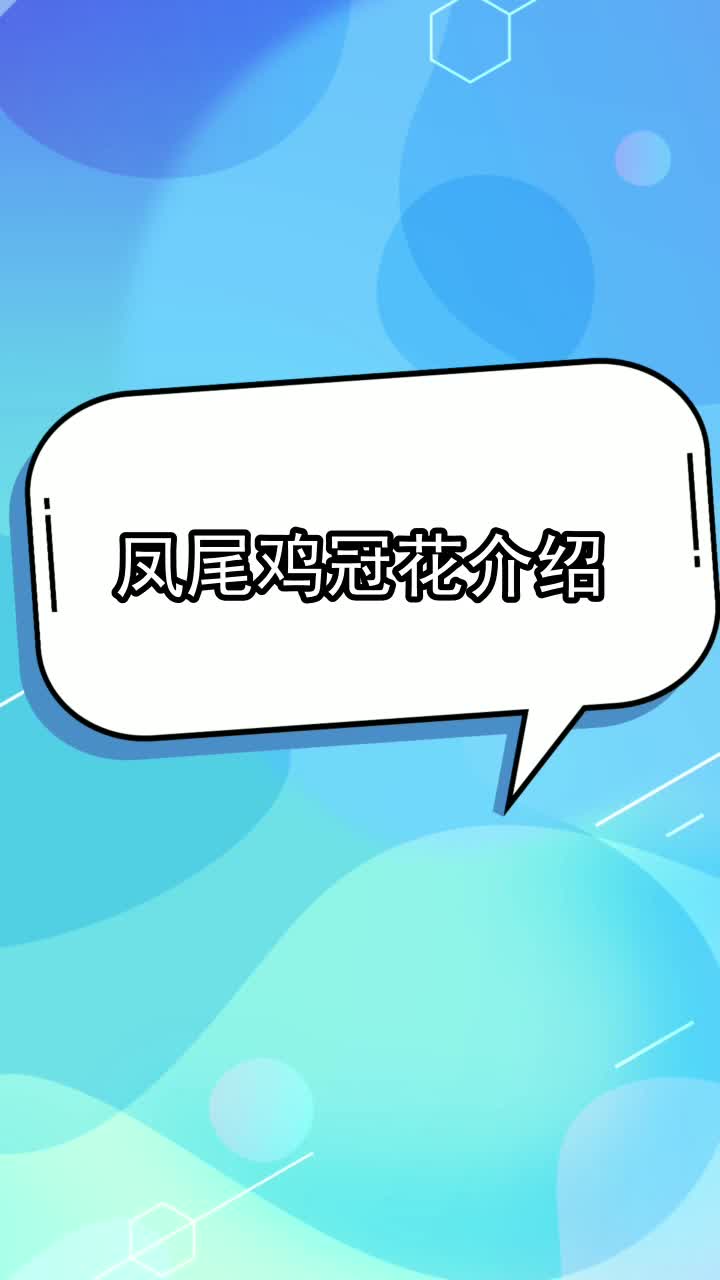 凤尾鸡冠花介绍,你理解了吗