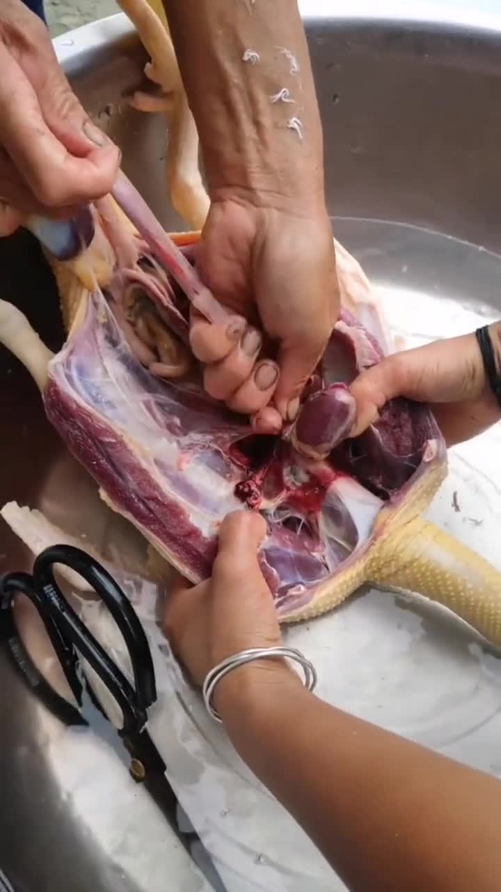 鸭肉怎么做好吃又简单呢