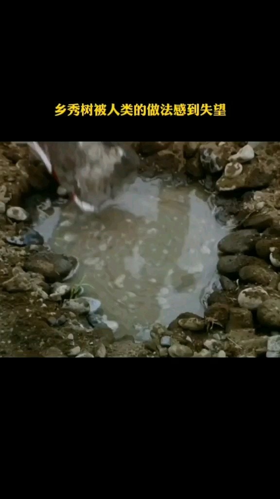 黎明电影:其实谁都没有错,可怕是人心