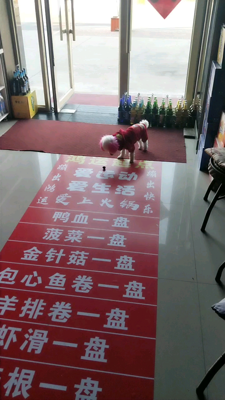 猜猜在玩什么
