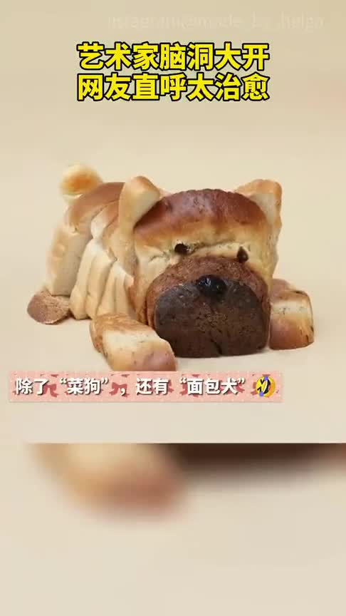设计师凭凭奇葩“菜狗”表情包火出圈,网友直呼:有被治愈到!