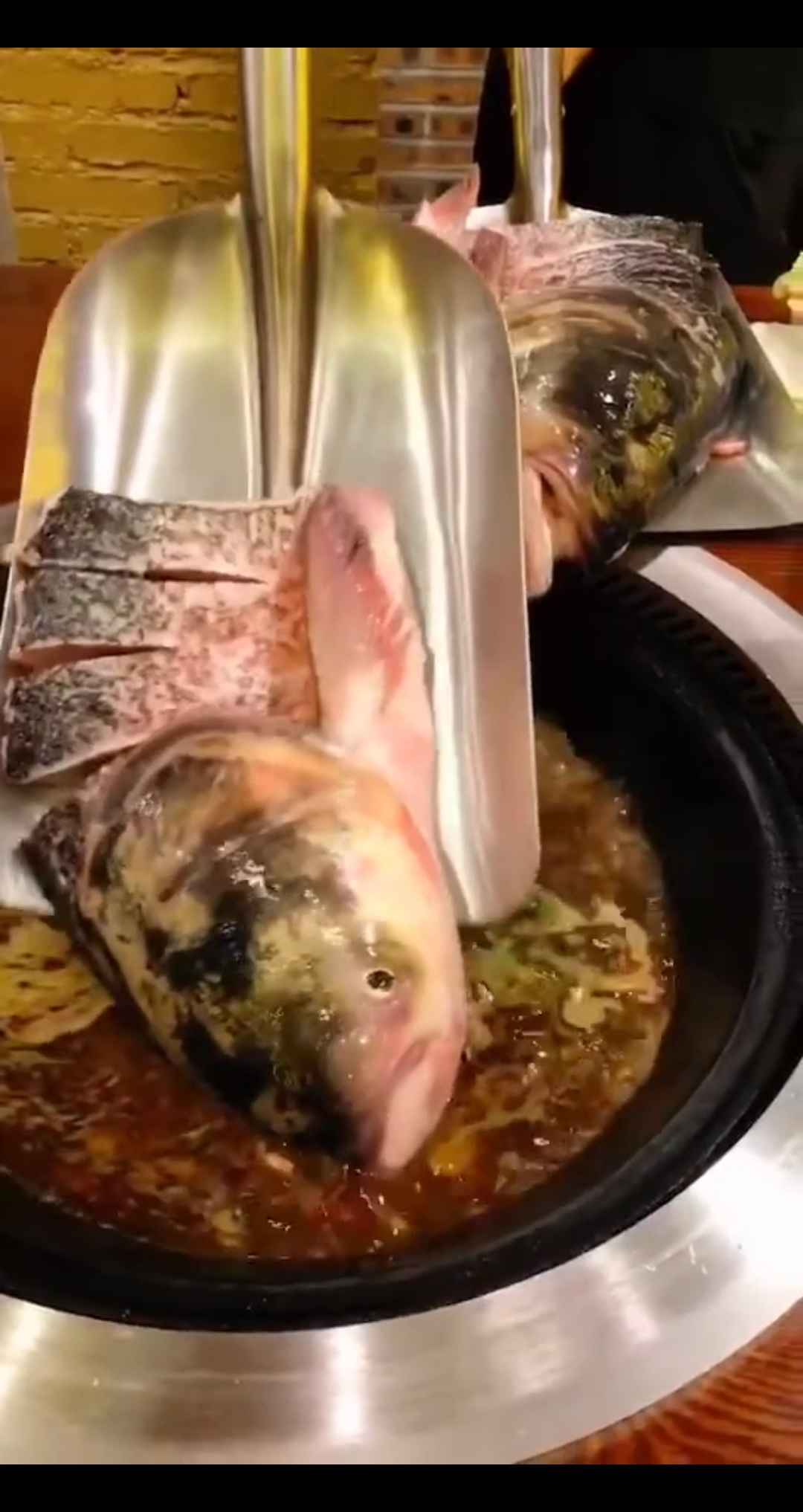 两个大板铁锹做鱼!