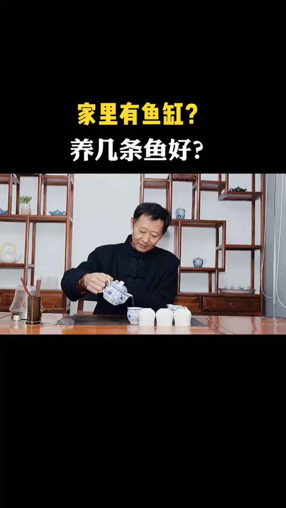 家里有鱼缸?养几条鱼好?