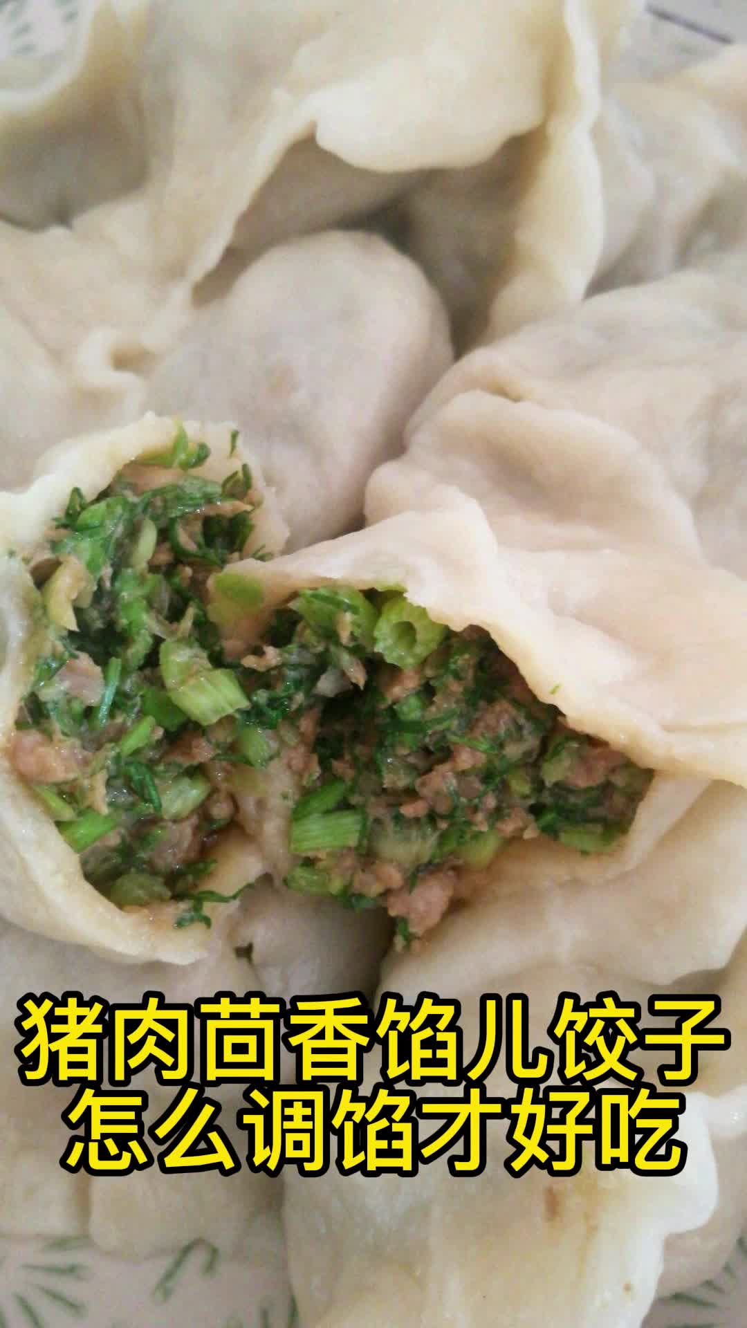 猪肉茴香馅儿饺子怎么调馅才好吃,你学会了吗