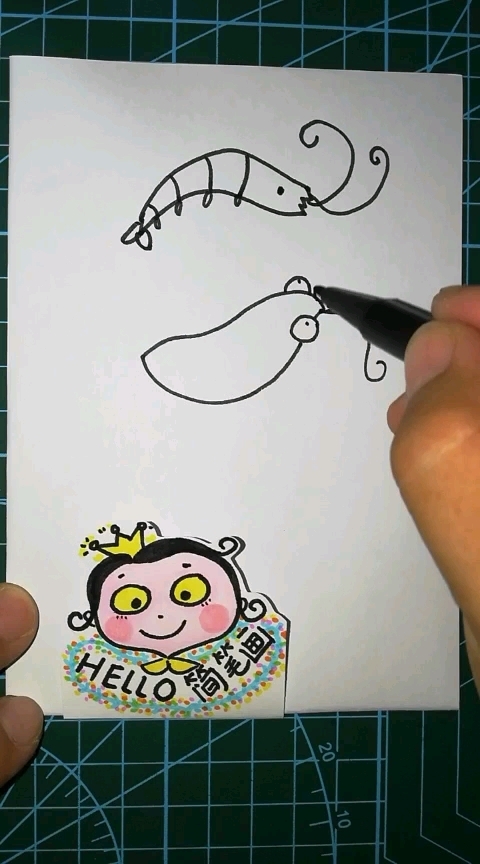 简笔画～各种虾子～