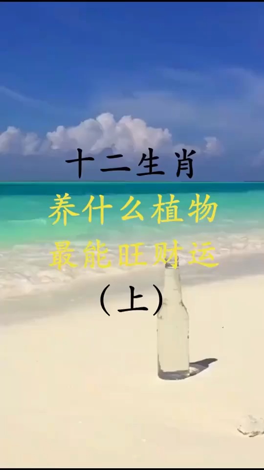 十二生肖养什么植物最能旺财运上