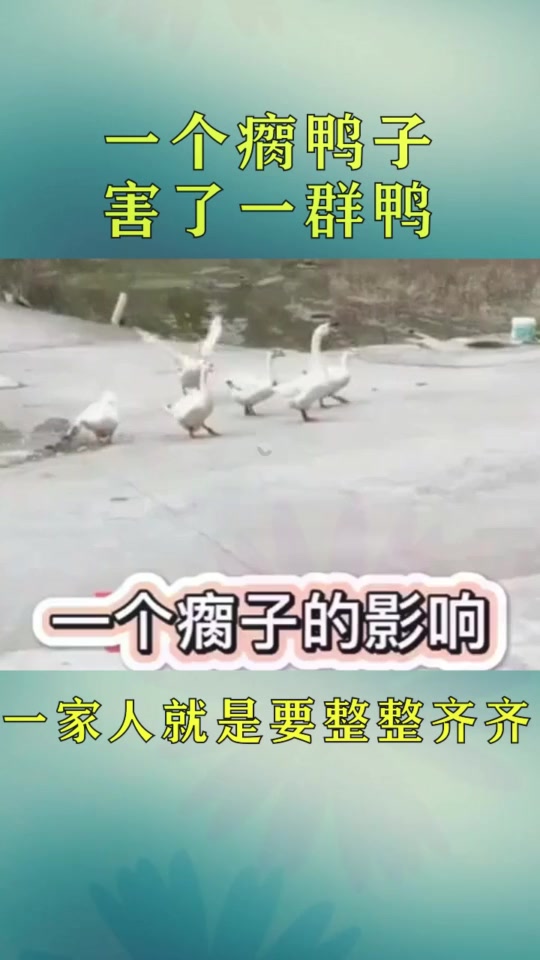 #搞笑段子#一个鸭子“瘸”了之后,所有的鸭子都开始学它了!