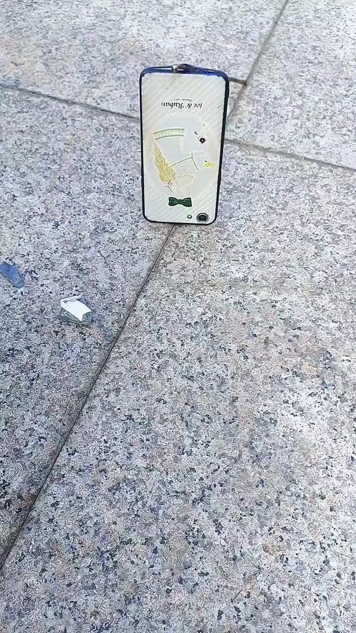 _买来的茄子,先拍一张照片,再带回家做菜吃。