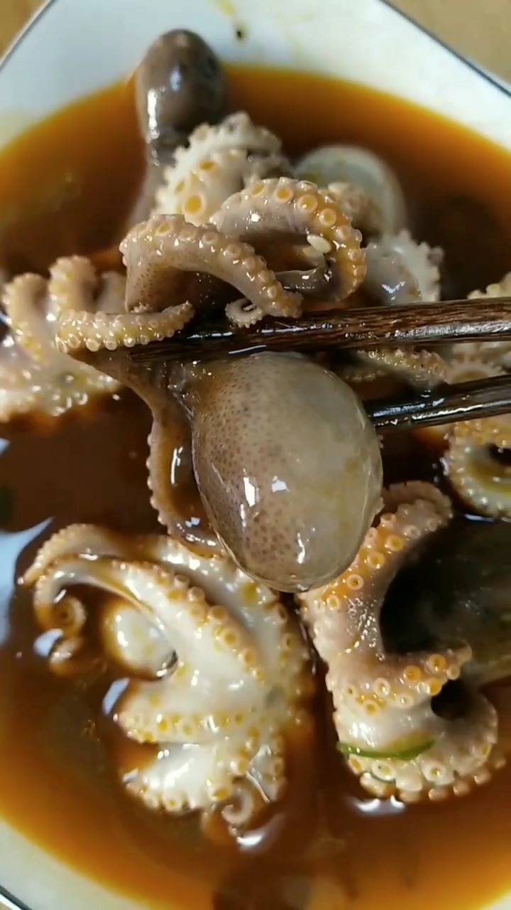 小小八爪鱼