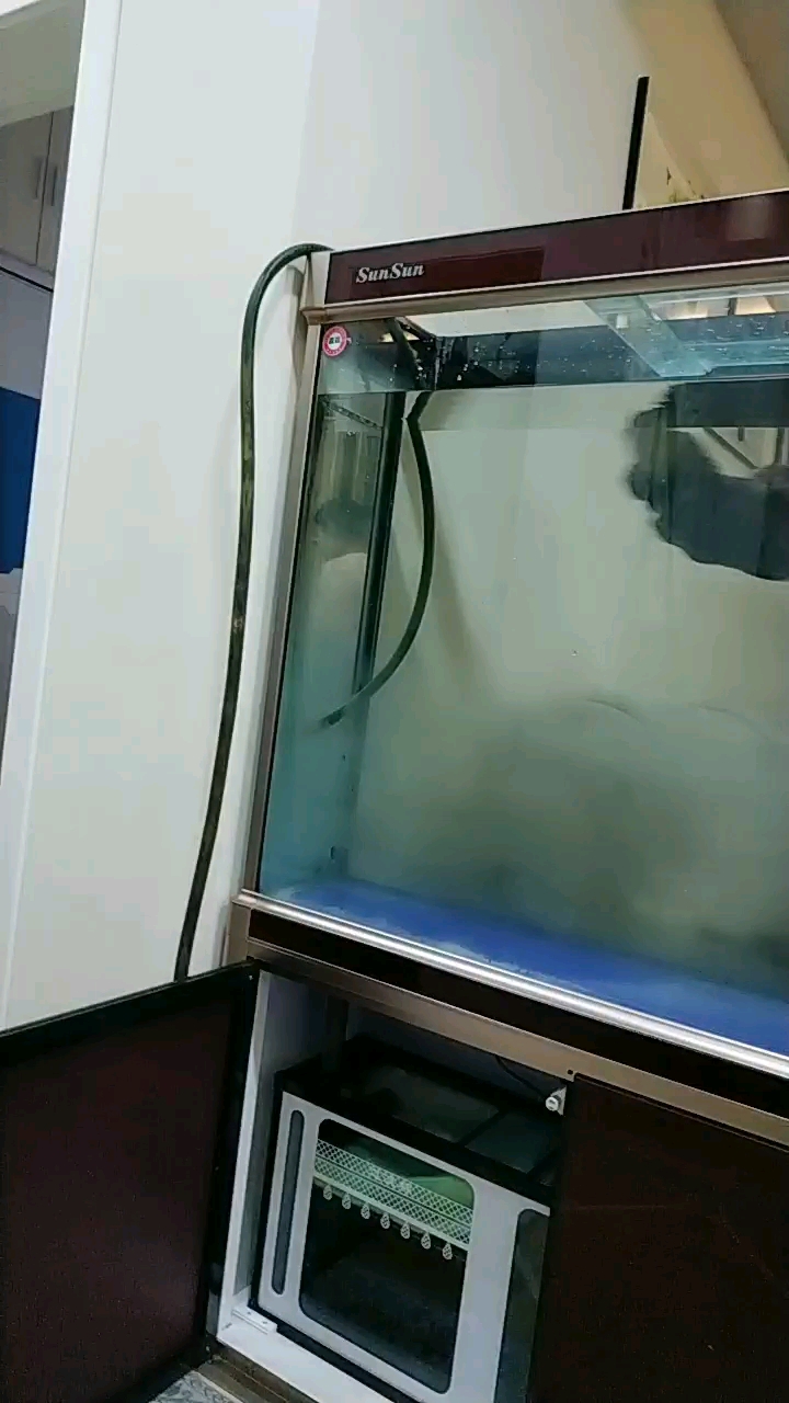 森森鱼缸